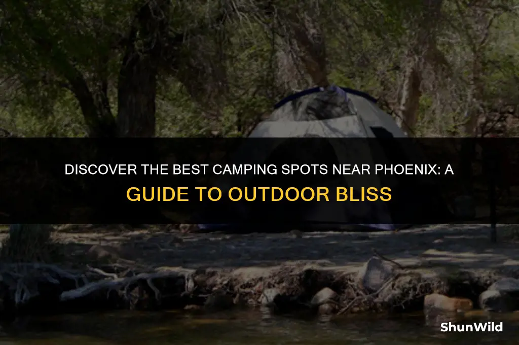 where to camp near phoenix