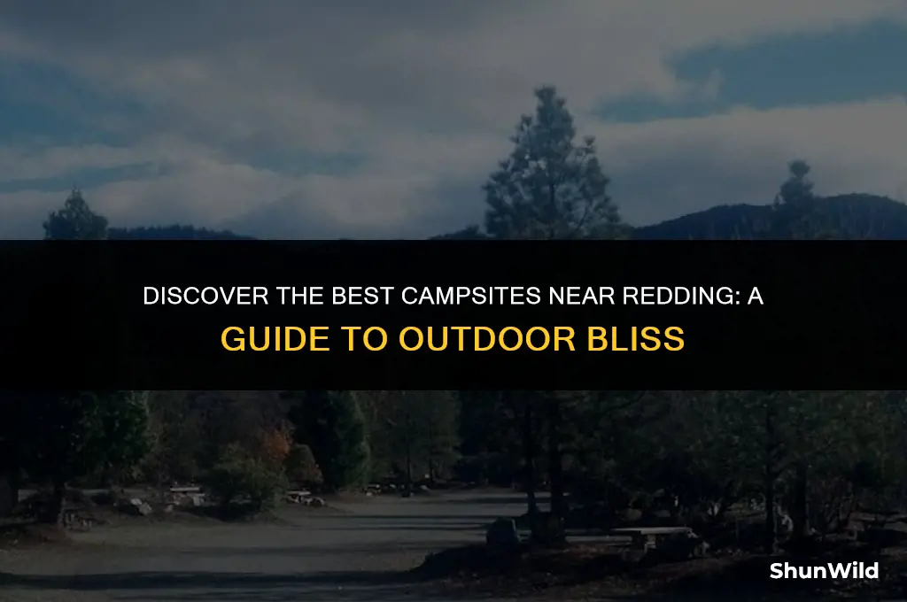 where to camp near redding