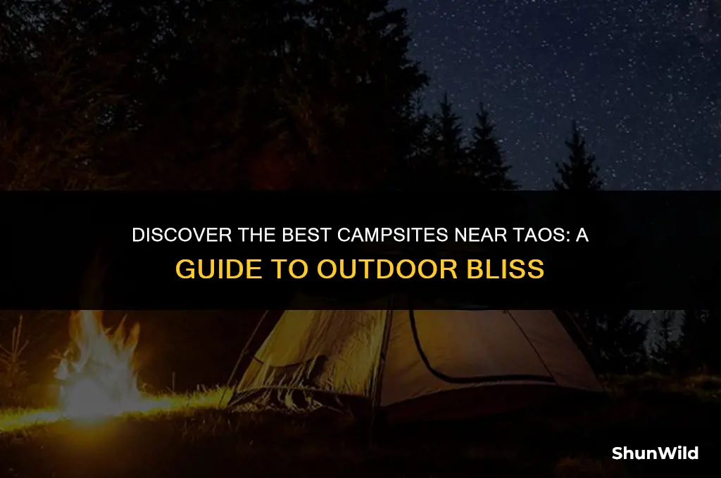 where to camp near taos