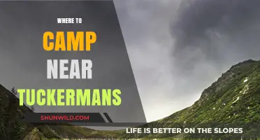 Discover Tuckerman's: Top Campsites for Your Next Adventure