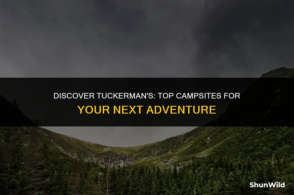 where to camp near tuckermans