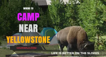 Exploring the Great Outdoors: Top Camping Spots Near Yellowstone