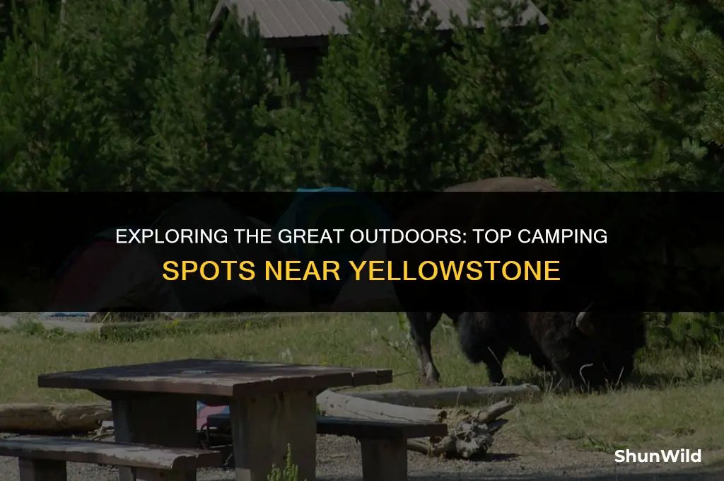where to camp near yellowstone