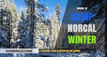 Winter Camping in NorCal: Top Spots for Chilly Adventures