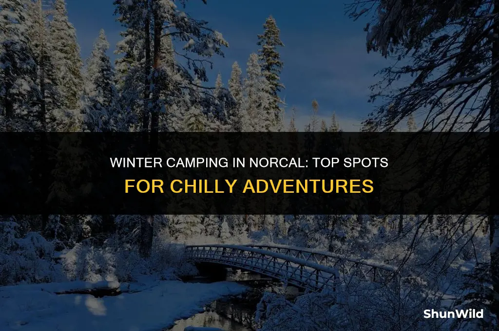 where to camp norcal winter