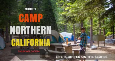 Discover the Best Campsites in Northern California: A Guide