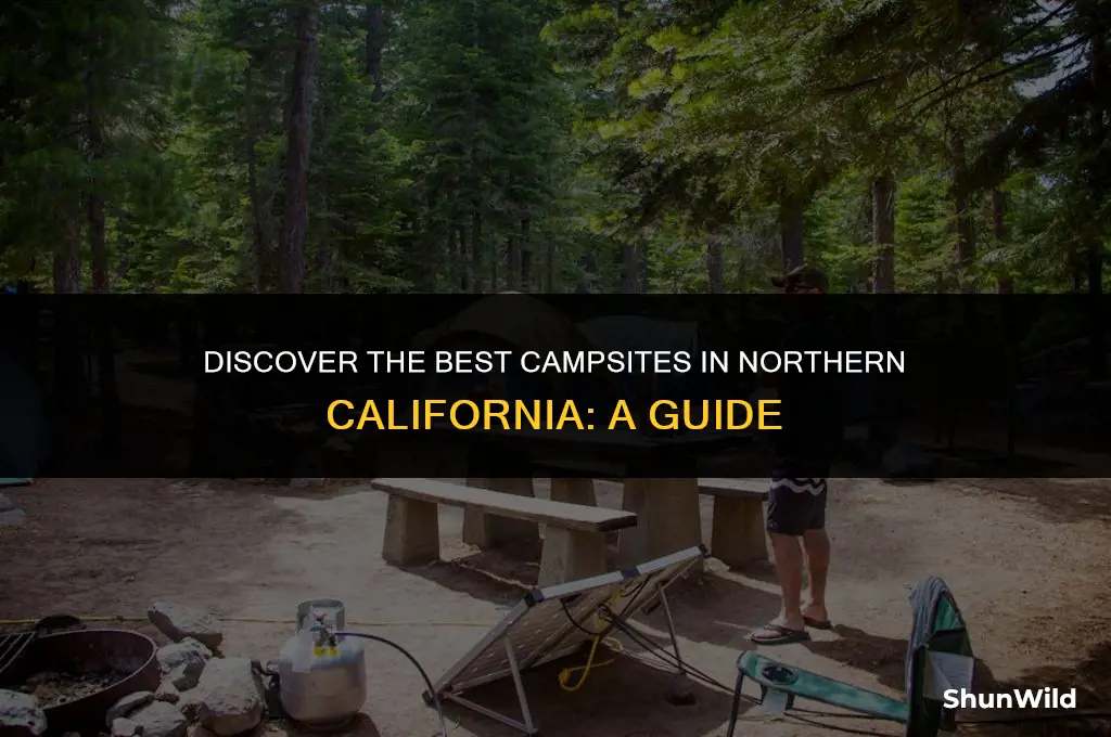 where to camp northern california