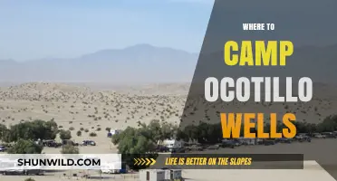 Discover the Best Campsites at Ocotillo Wells: A Guide for Adventure Seekers