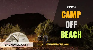 Discover Hidden Gems: Off-Beach Camping Spots You'll Love