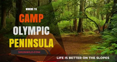 Discover the Best Campsites on the Olympic Peninsula: A Guide