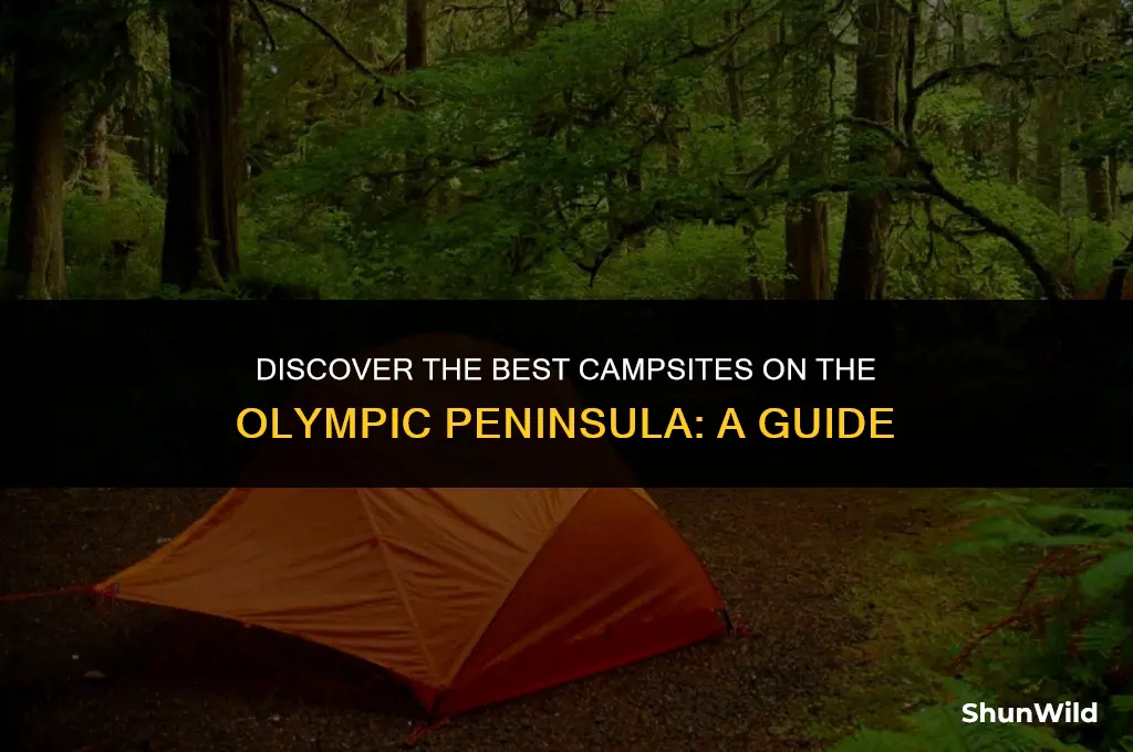 where to camp olympic peninsula