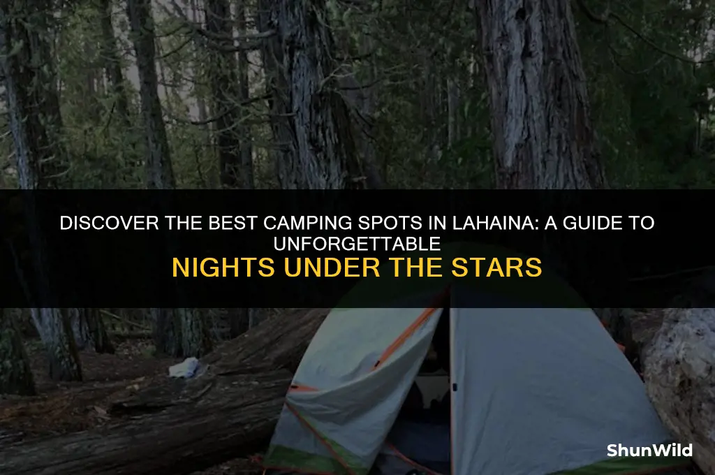 where to camp on lahaina