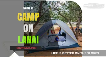 Discovering Lanai: Top Campsites for an Unforgettable Adventure