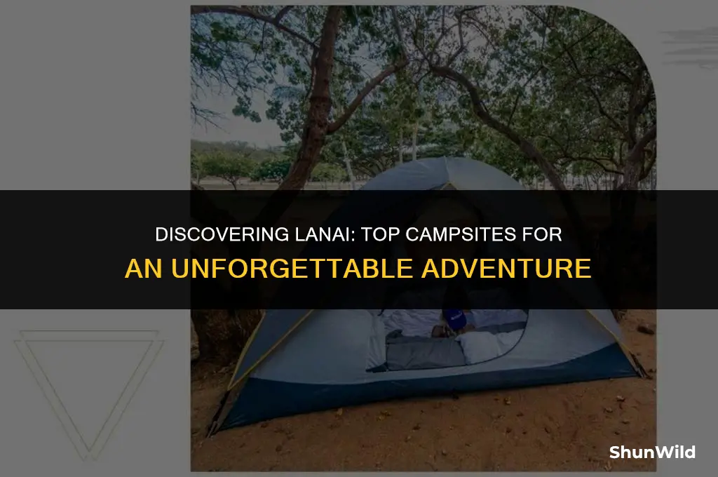 where to camp on lanai