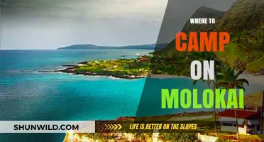Discovering Paradise: The Best Campsites on Molokai Island