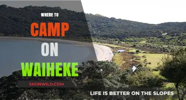 Discover Waiheke's Hidden Gems: Top Campsites for Your Next Adventure