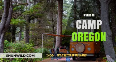 Discover Oregon's Best Campsites: A Guide to Outdoor Adventures