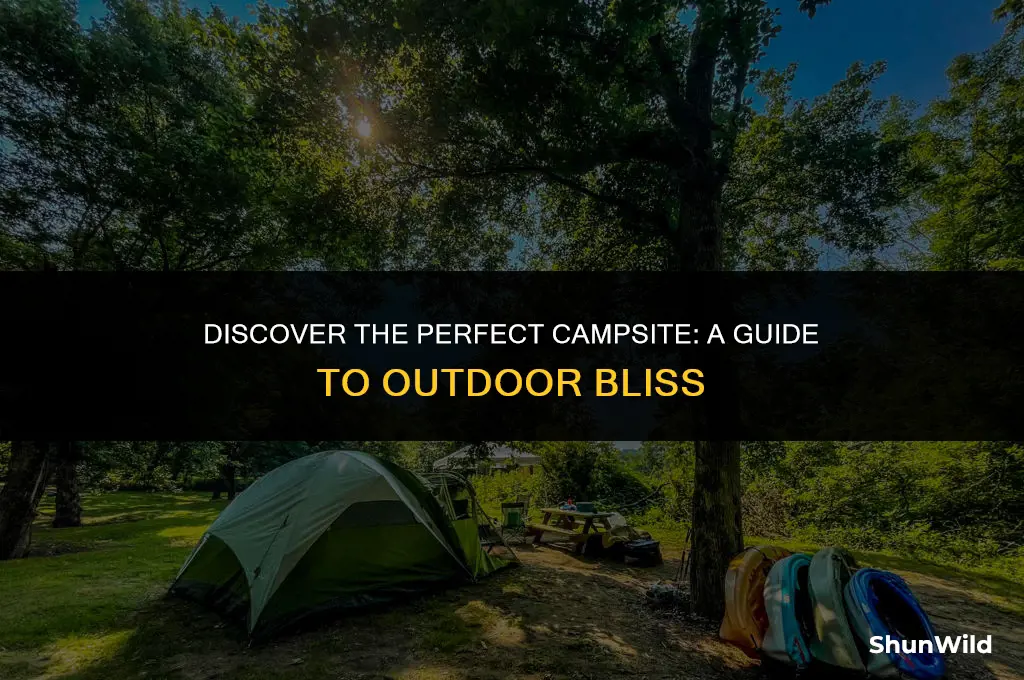 where to camp out