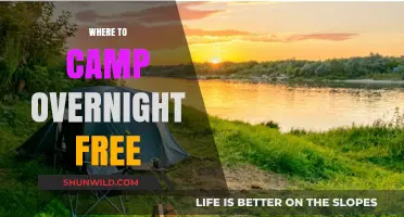Discover the Best Free Overnight Camping Spots Near You