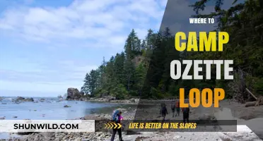 Exploring the Ozette Loop: Top Campsites and Scenic Spots