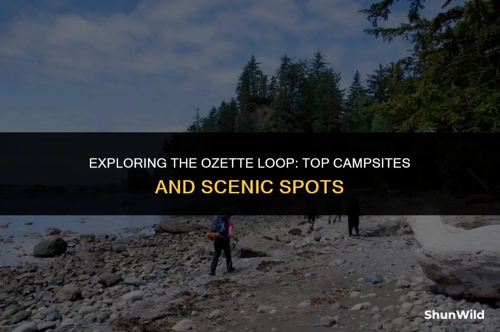 where to camp ozette loop
