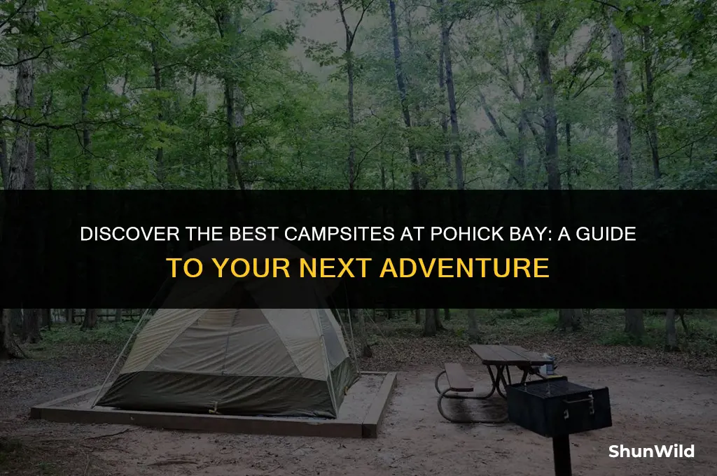 where to camp pohick bay