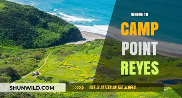 Discover the Best Campsites at Point Reyes: A Guide to Your Next Adventure