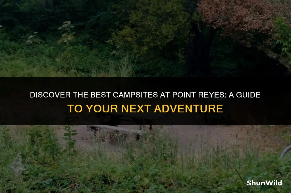 where to camp point reyes