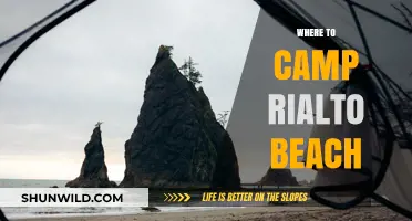 Discover the Best Campsites at Rialto Beach: A Guide for Adventure Seekers