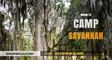 Exploring the Savannah: Top Camping Spots for an Unforgettable Adventure