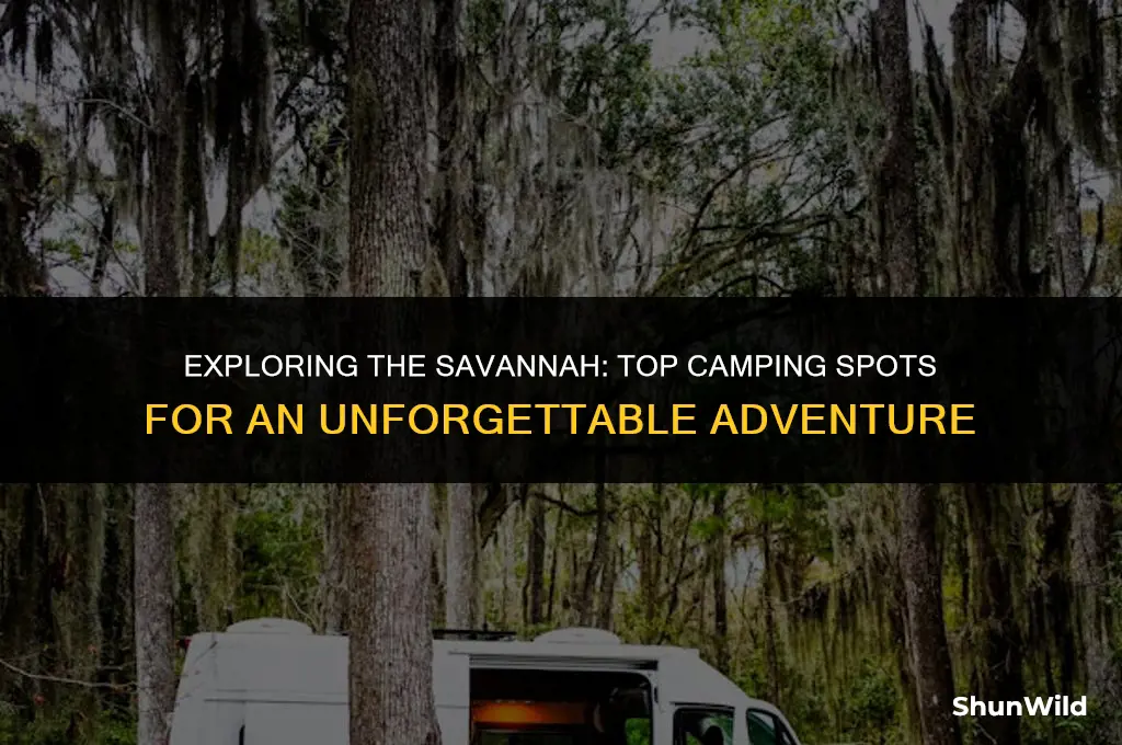 where to camp savannah
