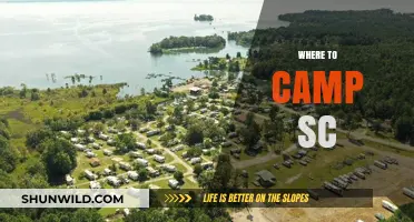 Discover the Best Campsites in South Carolina: A Guide to Outdoor Bliss