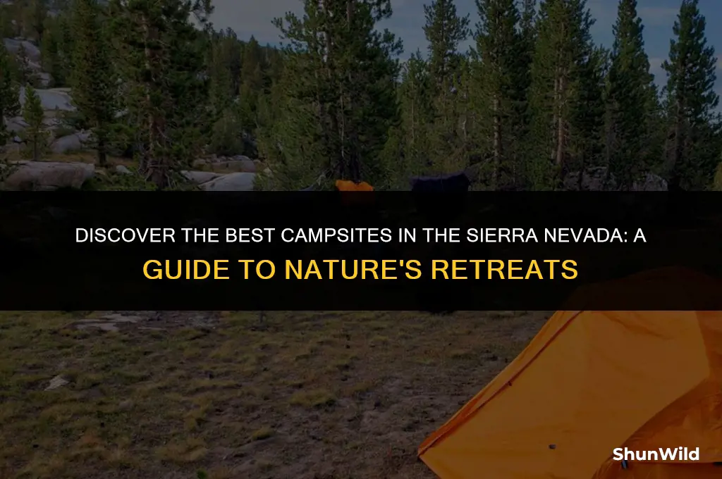 where to camp sierra nevada