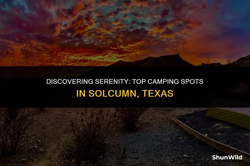 where to camp solcumn texas