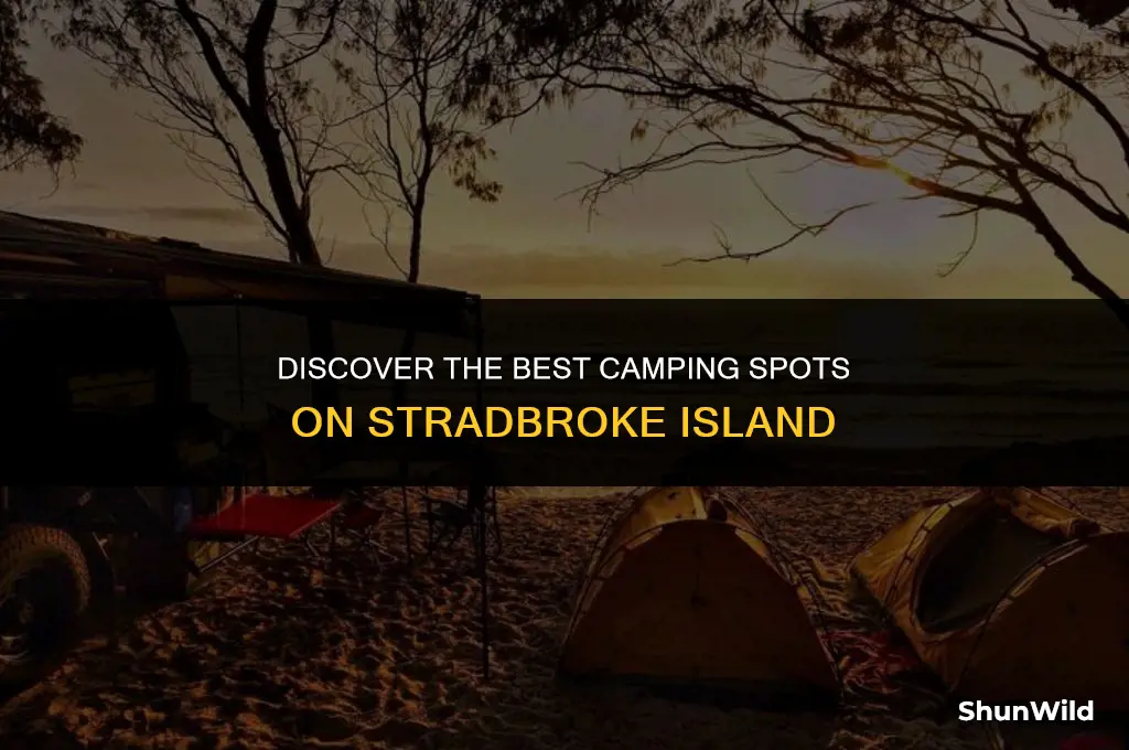 where to camp stradbroke island