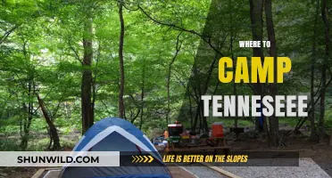 Discover Tennessee's Best Campsites: A Guide to Outdoor Adventure