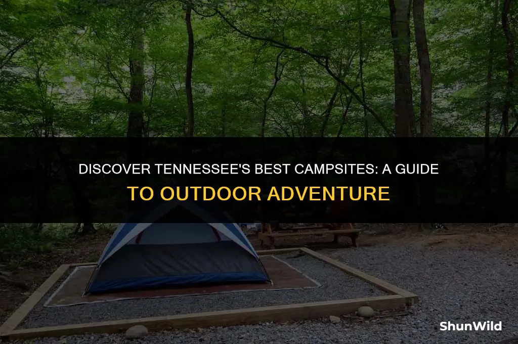 where to camp tenneseee