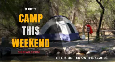 Top Weekend Camping Spots: Discover Nature's Best Getaways Now
