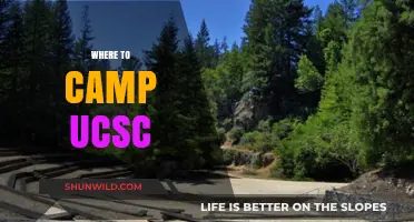Discover the Best Camping Spots Near UCSC: A Student's Guide