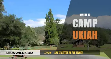 Discover Ukiah's Best Campsites: A Guide to Outdoor Bliss