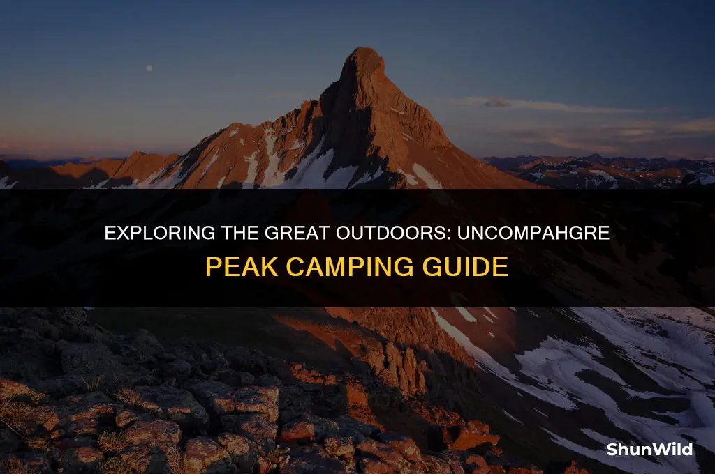 where to camp uncompahgre peak