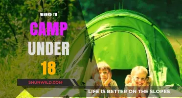 Where to Camp Under 18: A Guide for Young Adventurers