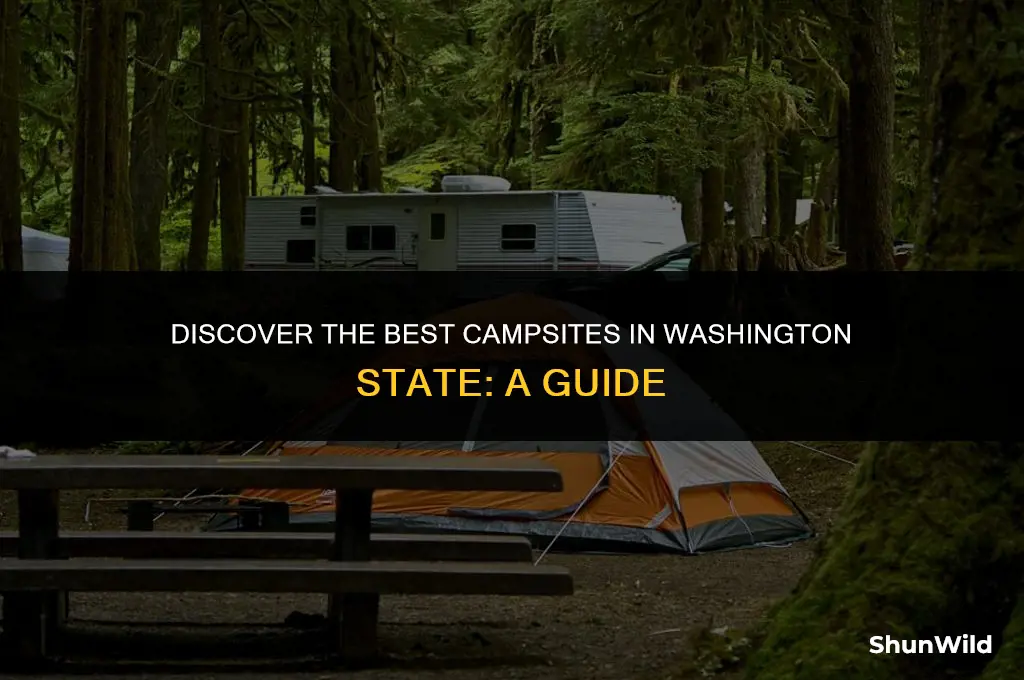 where to camp washington state