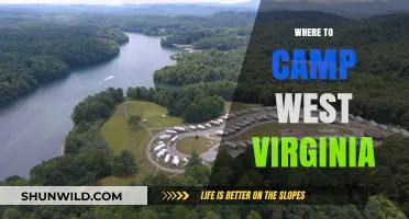 Exploring the Great Outdoors: Top Camping Spots in West Virginia