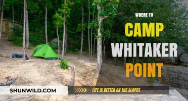 Discover the Best Camping Spots at Whitaker Point: A Comprehensive Guide