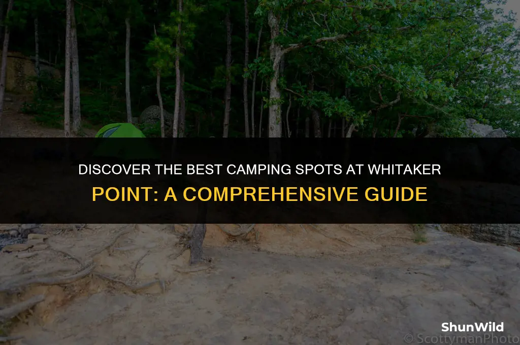 where to camp whitaker point