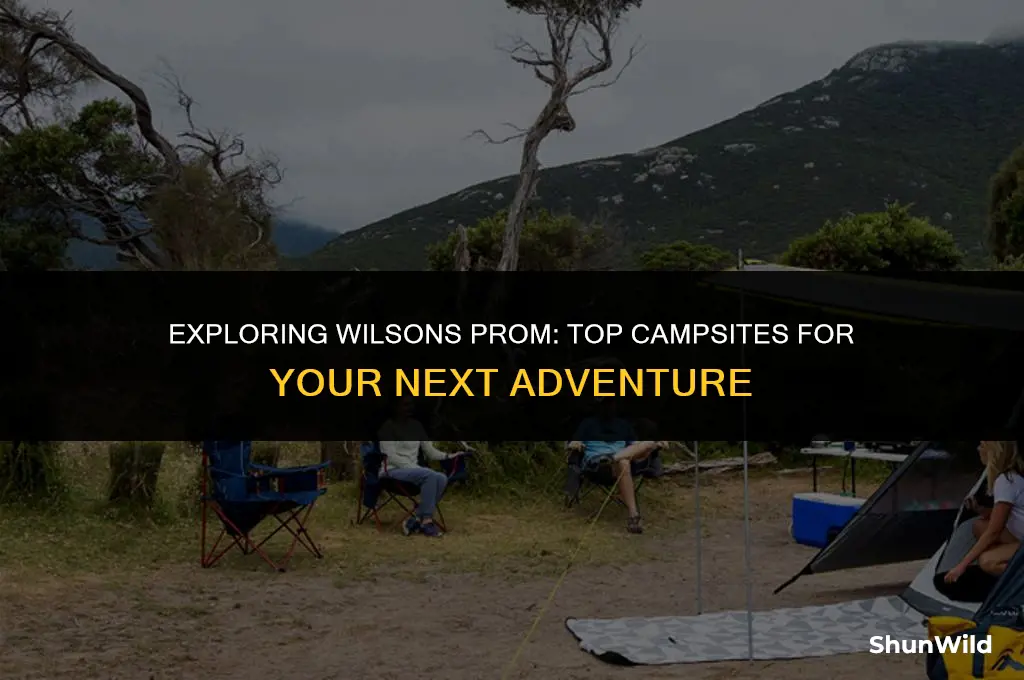 where to camp wilsons prom