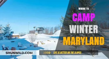 Winter Camping in Maryland: Top Spots for a Chilly Adventure