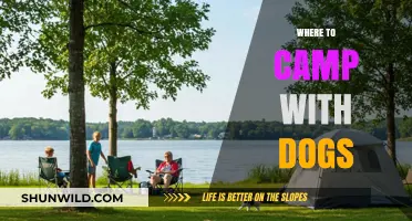Paws & Tents: The Ultimate Guide to Dog-Friendly Camping Spots