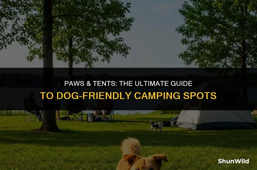 where to camp with dogs